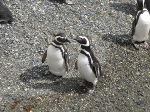 166442_10150117109615972_6716713_n